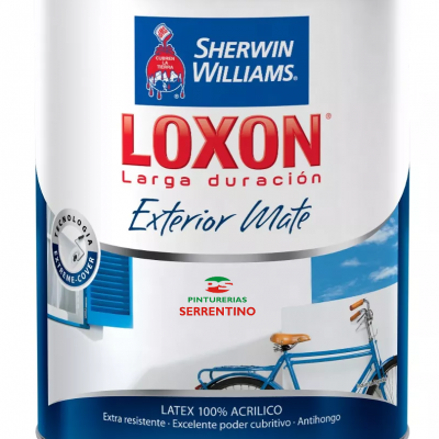 LOXON EXTERIOR ACRILICO LD 20L